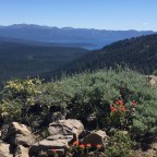 Lost and Found in Lake Tahoe