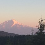 Bugs, Sweat, and Beards